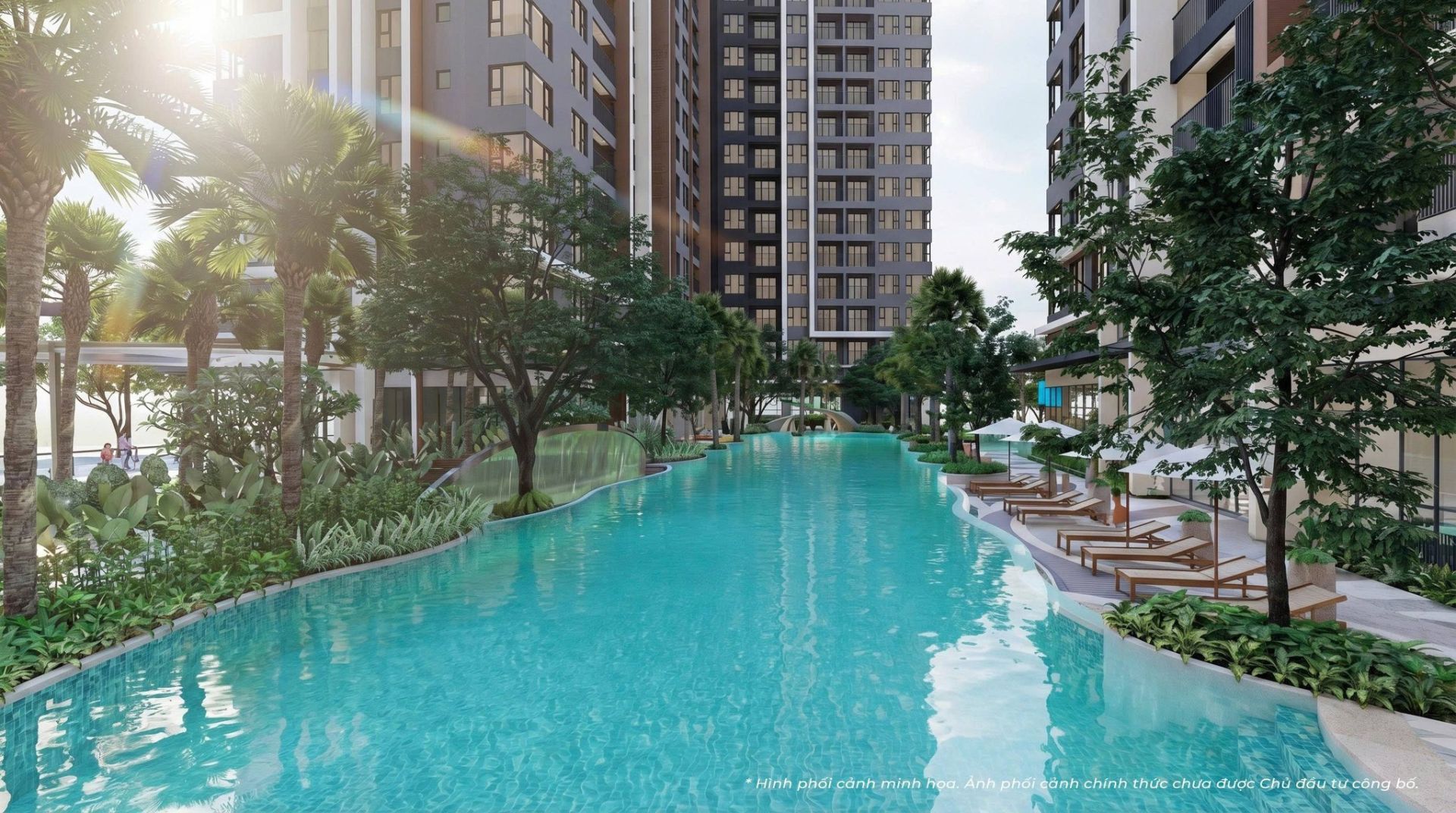 Phối cảnh hồ bơi