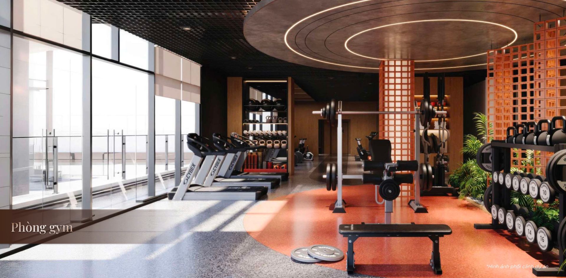 Phòng gym với tầm view siêu đẹp